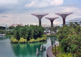 Gardens by the Bay, Singapur