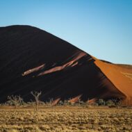 Morgen im Sossusvlei