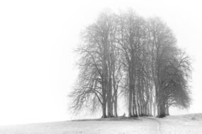 Annahme: Eberhard Schäfer »Ruheplatz«